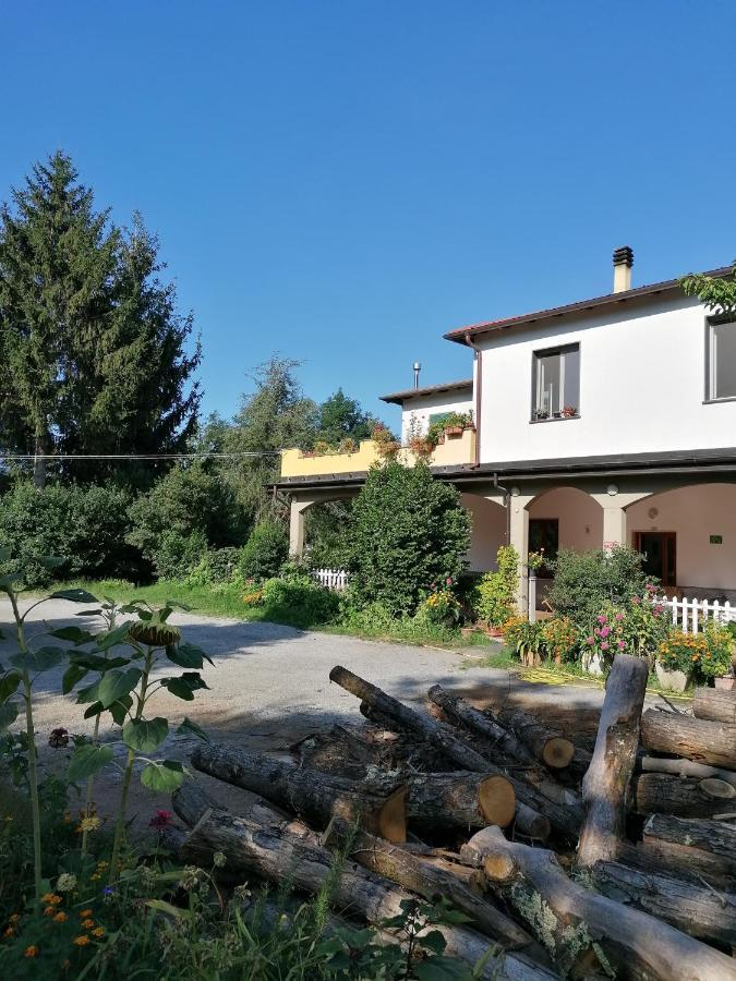 Le Camelie Villa Polverara Ngoại thất bức ảnh